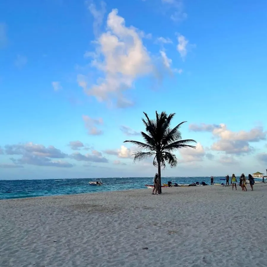 Apartamento En Torres Del Sun Rise San Andres Con Piscina Y Playa Privada